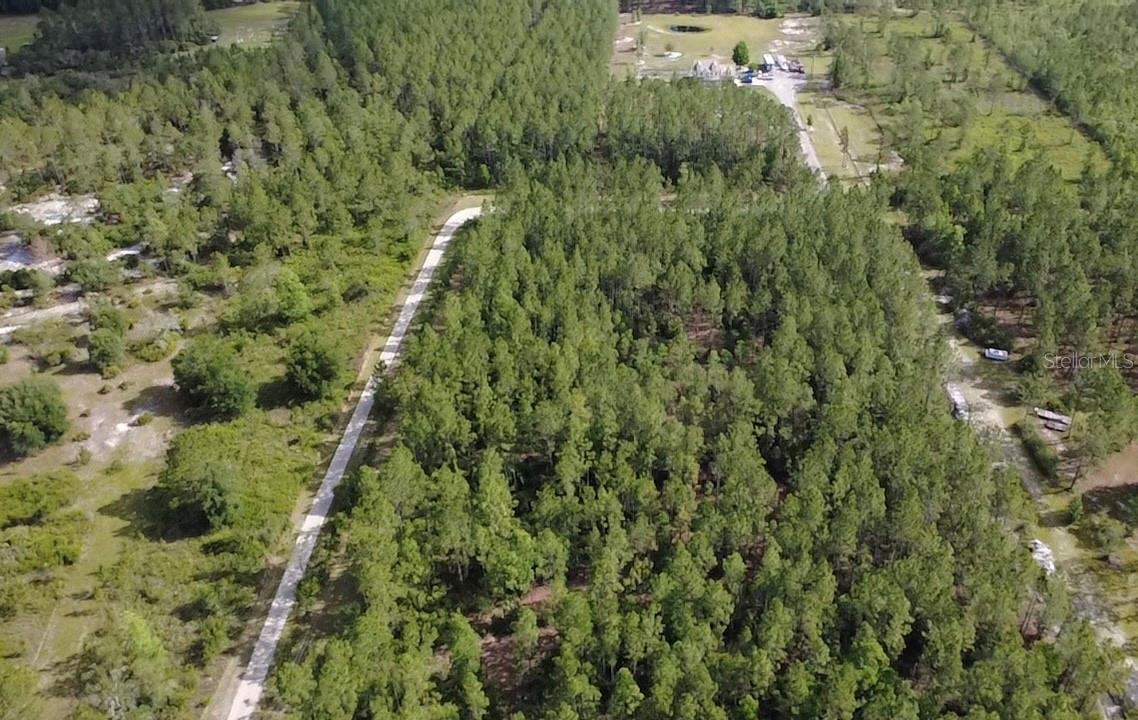 859 WILD CUR RD, PIERSON, FL, 32180