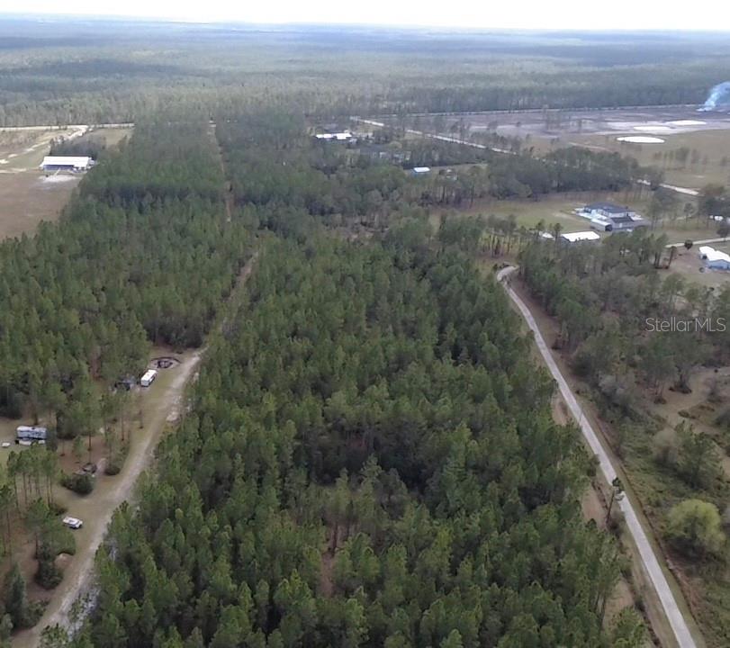859 WILD CUR RD, PIERSON, FL, 32180