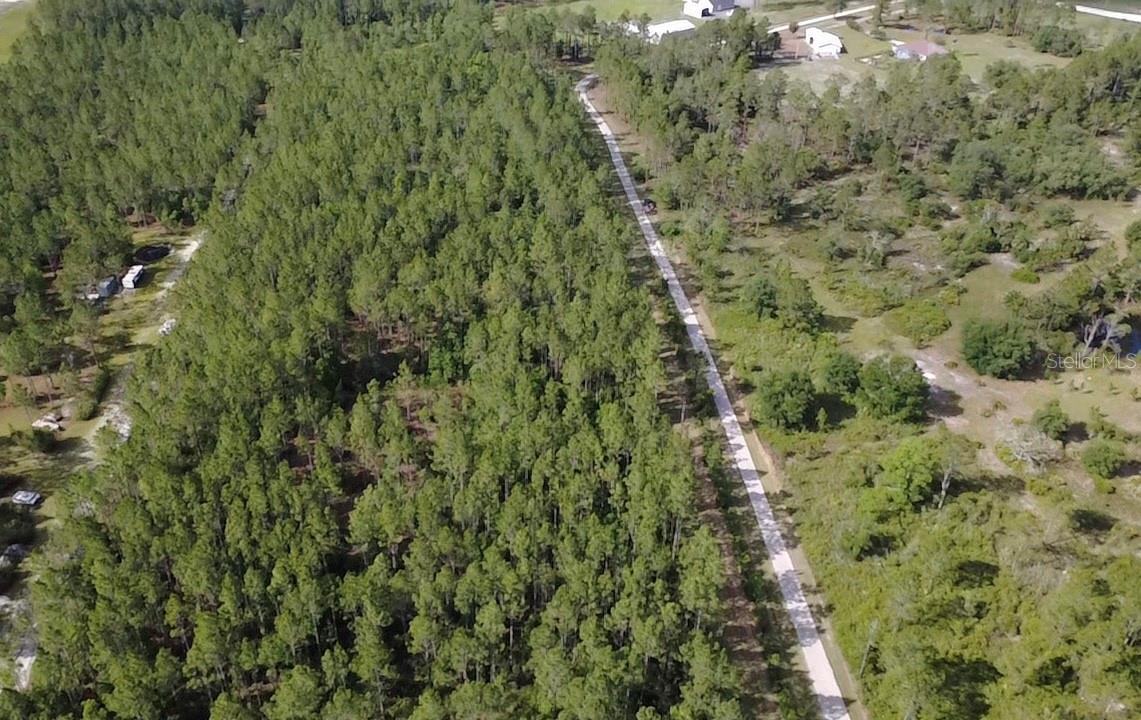 859 WILD CUR RD, PIERSON, FL, 32180