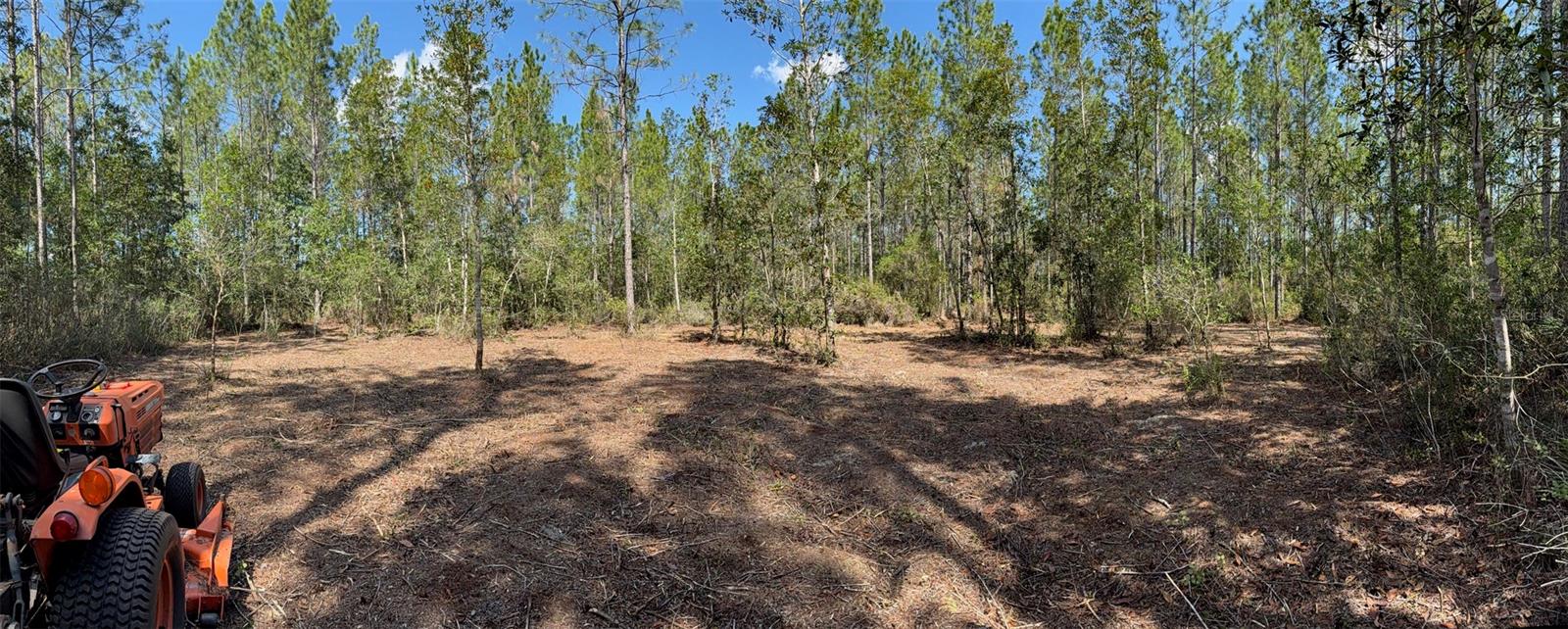 859 WILD CUR RD, PIERSON, FL, 32180