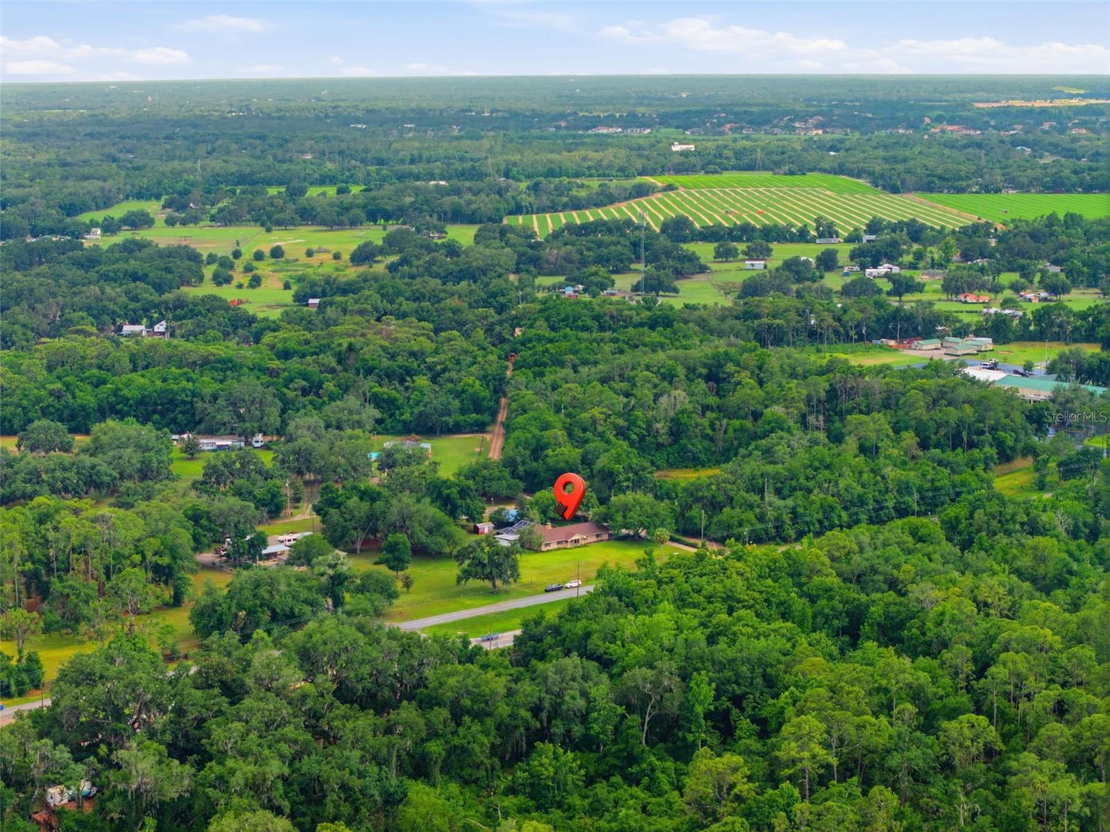 13525 301 HWY N, THONOTOSASSA, FL, 33592