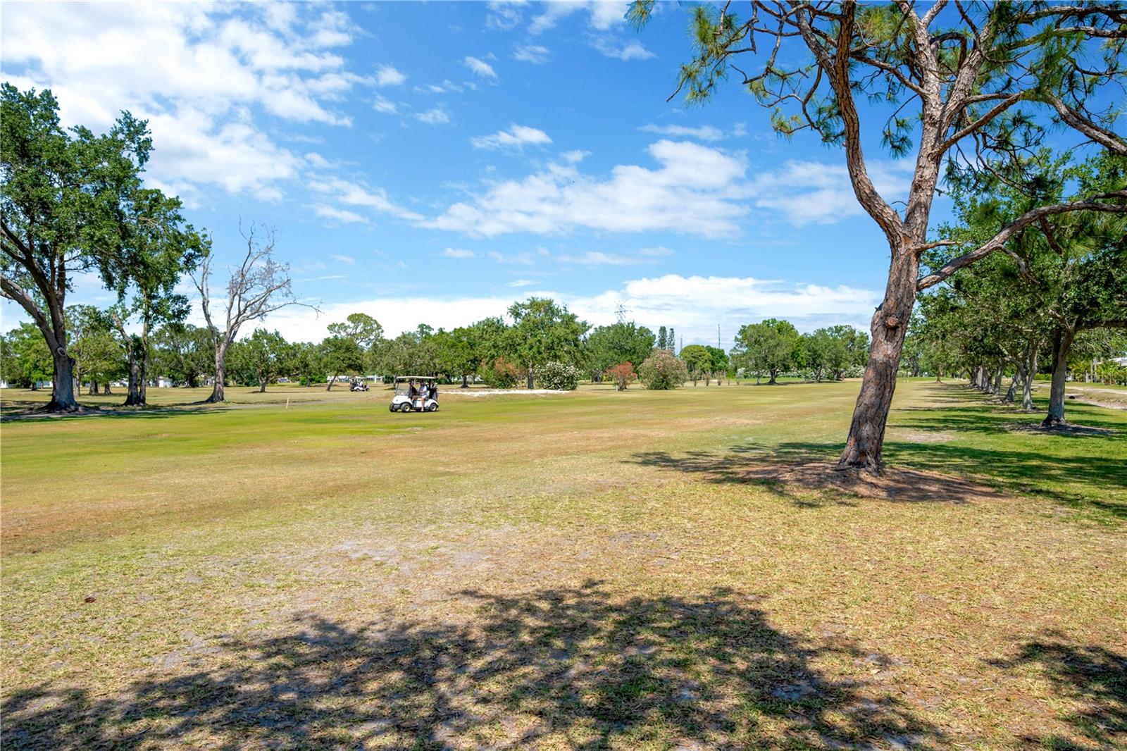 4201 93RD TER N, PINELLAS PARK, FL, 33782