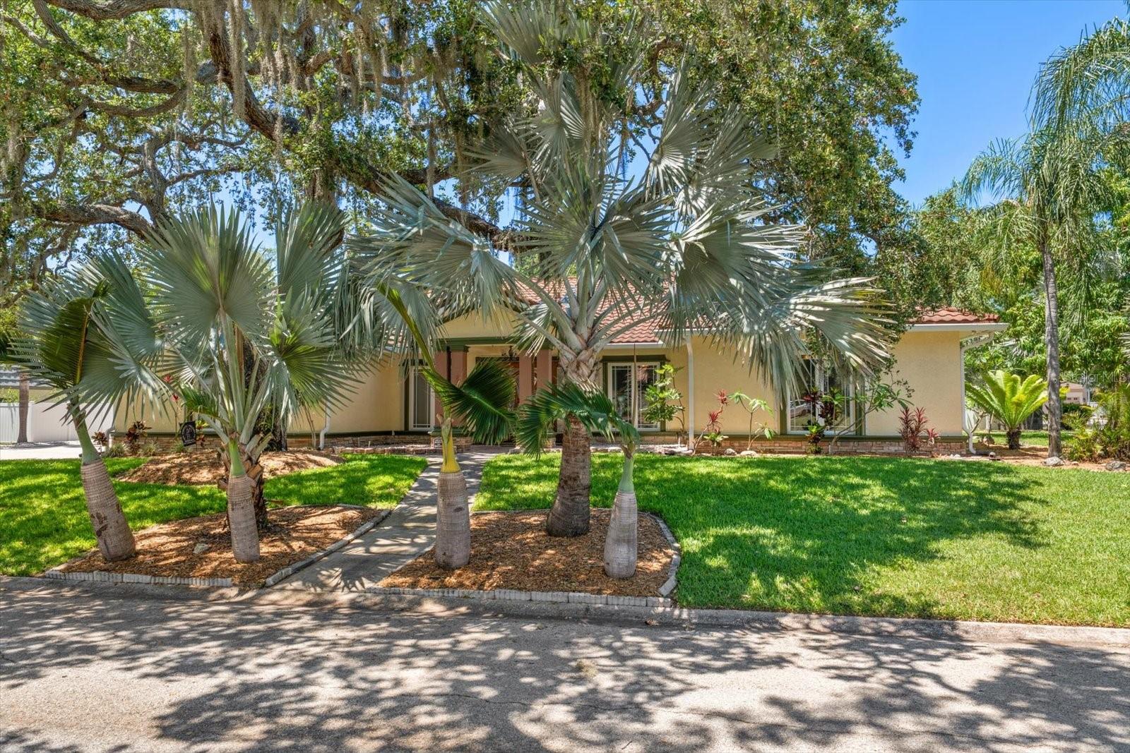 2400 SHERWOOD LN, CLEARWATER, FL, 33764