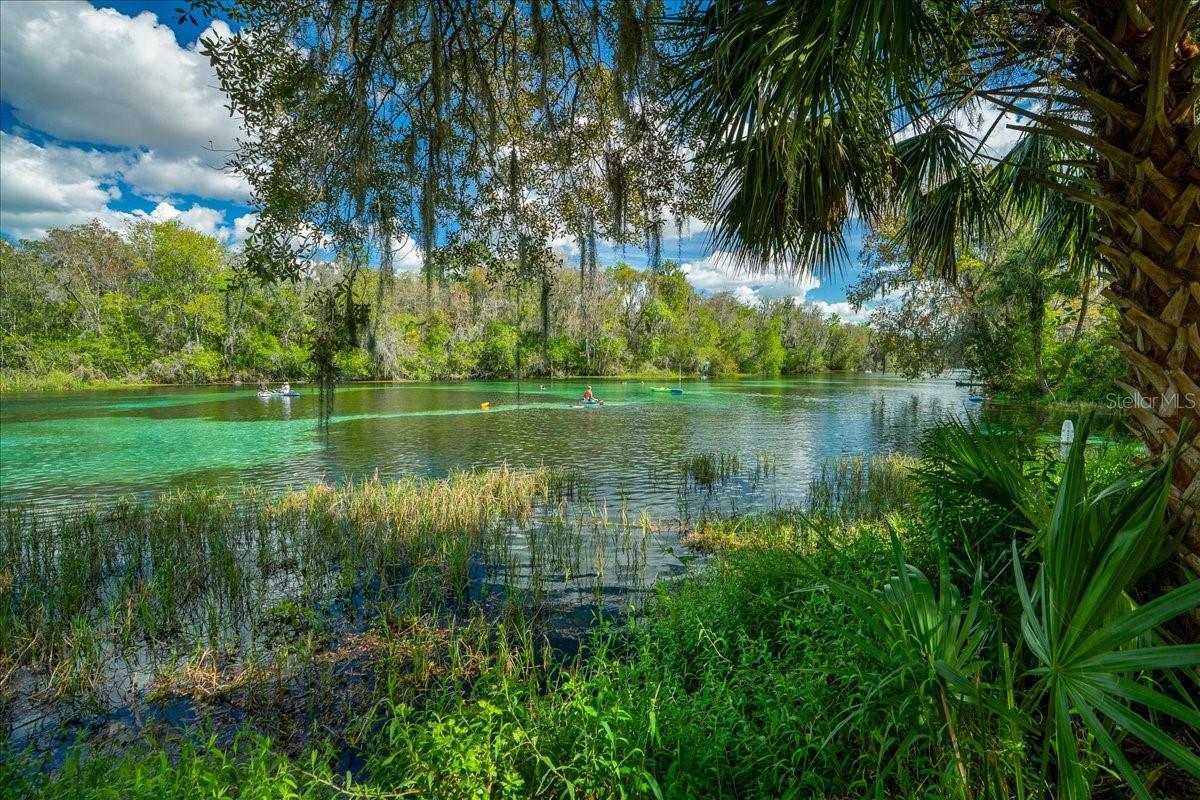 19423 SW 77TH LOOP, DUNNELLON, FL, 34432