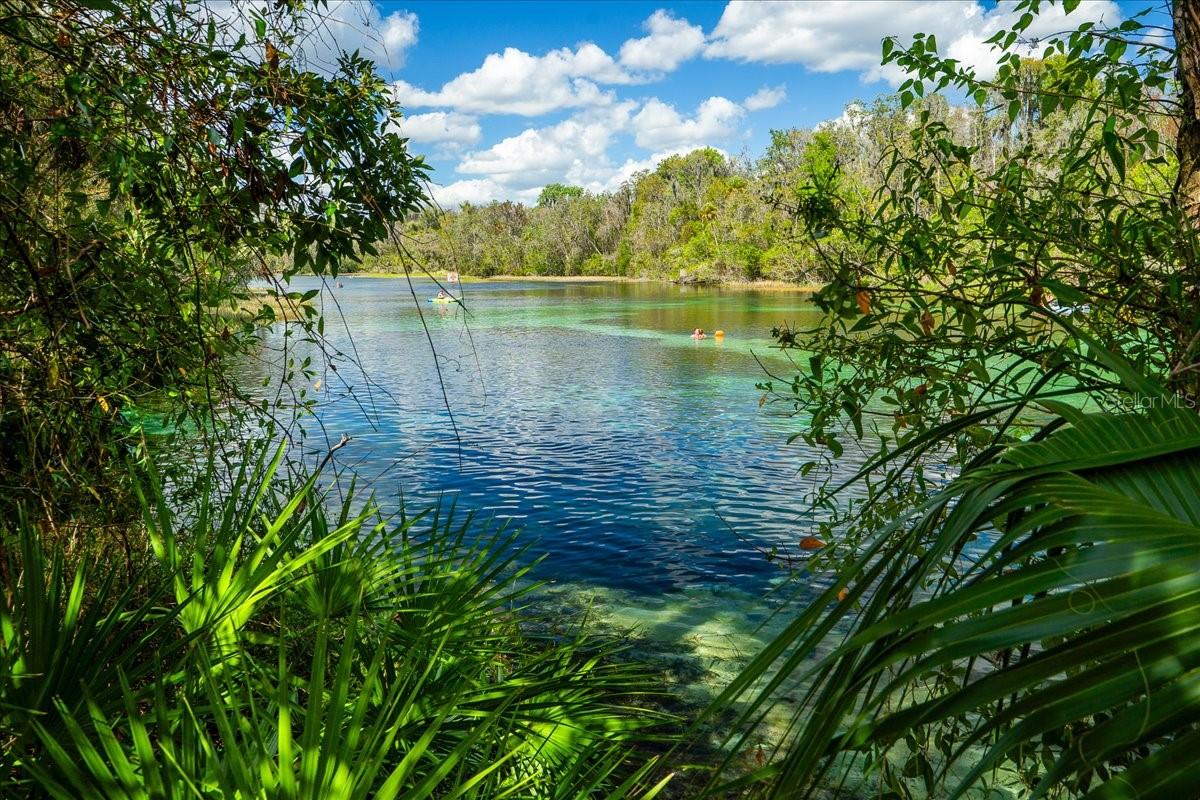 19423 SW 77TH LOOP, DUNNELLON, FL, 34432