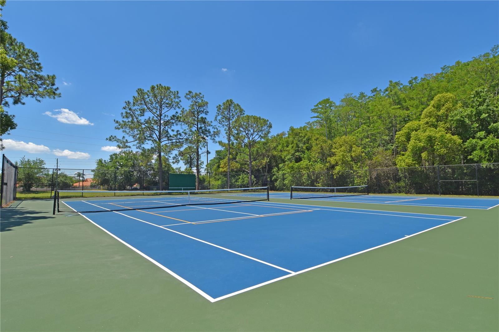 10792 LAZY LAKE DR, ORLANDO, FL, 32821