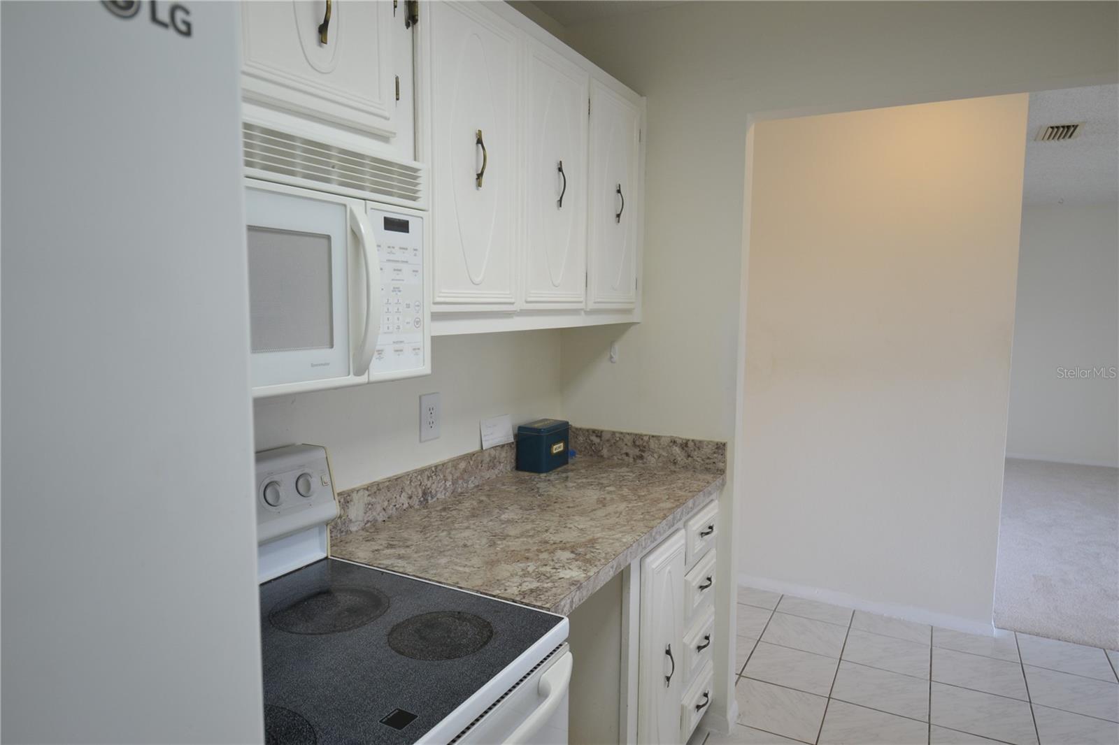 329 MOORINGS COVE DR, TARPON SPRINGS, FL, 34689