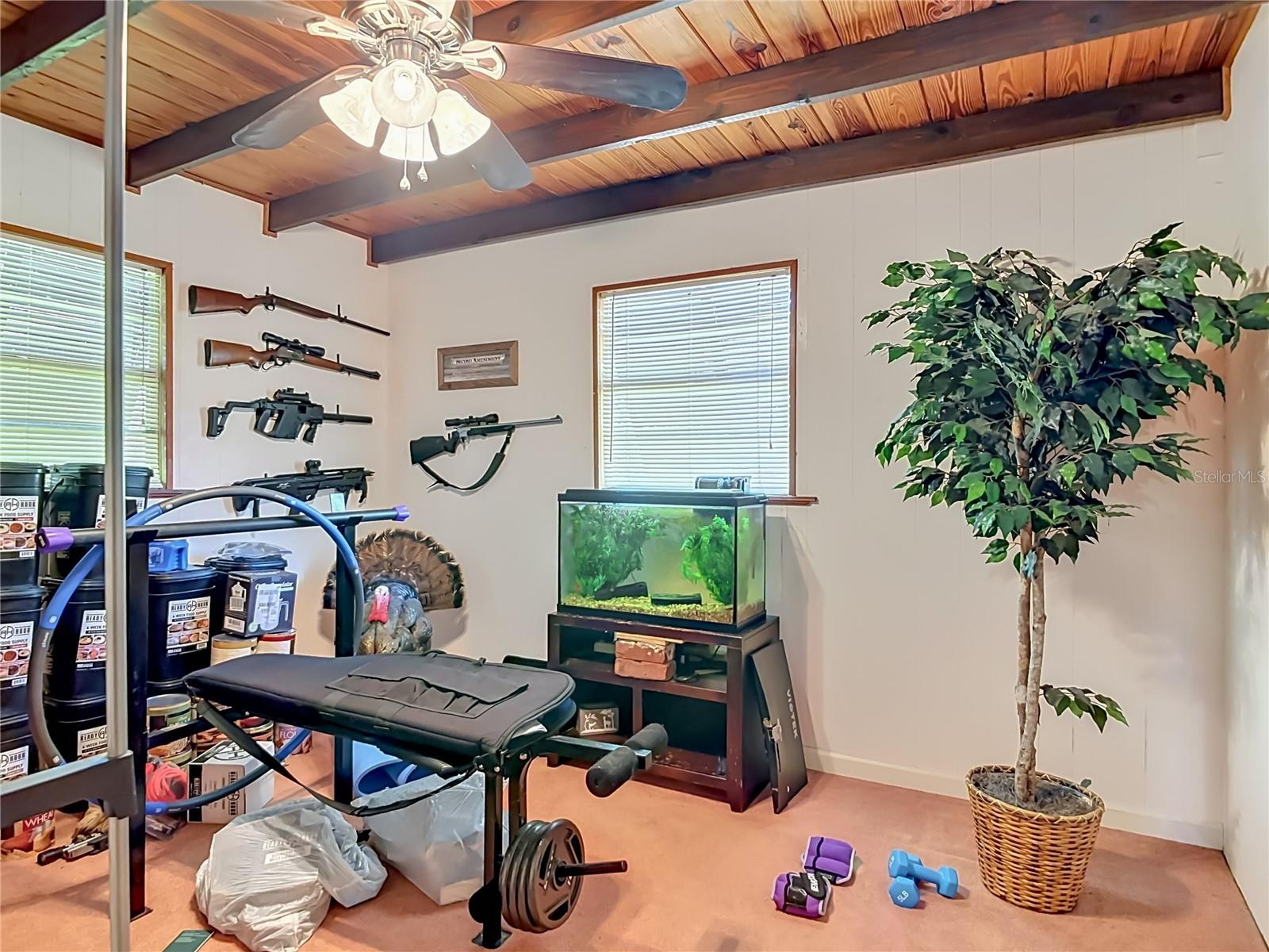 43809 SUNSET DR, PAISLEY, FL, 32767