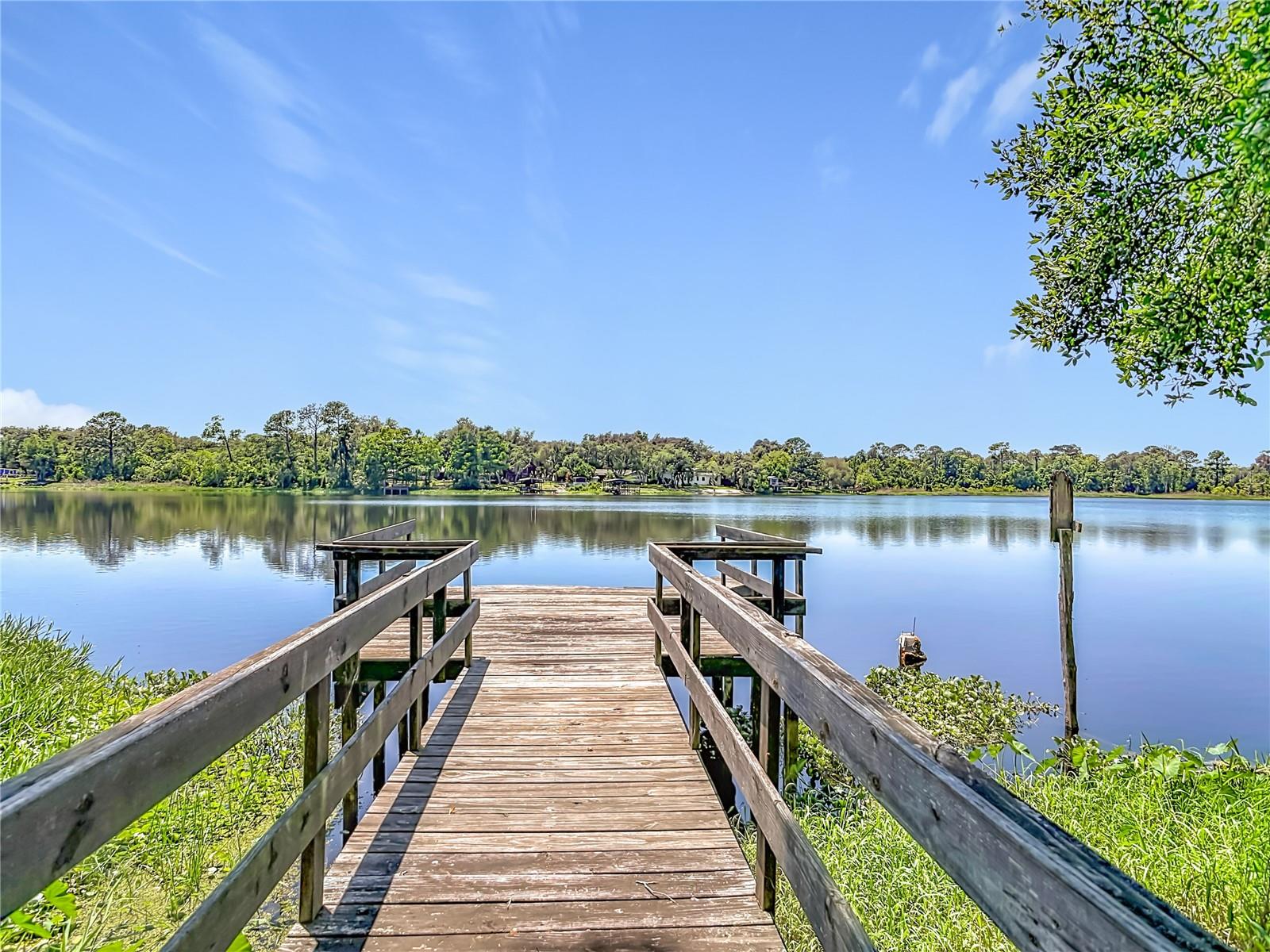43809 SUNSET DR, PAISLEY, FL, 32767