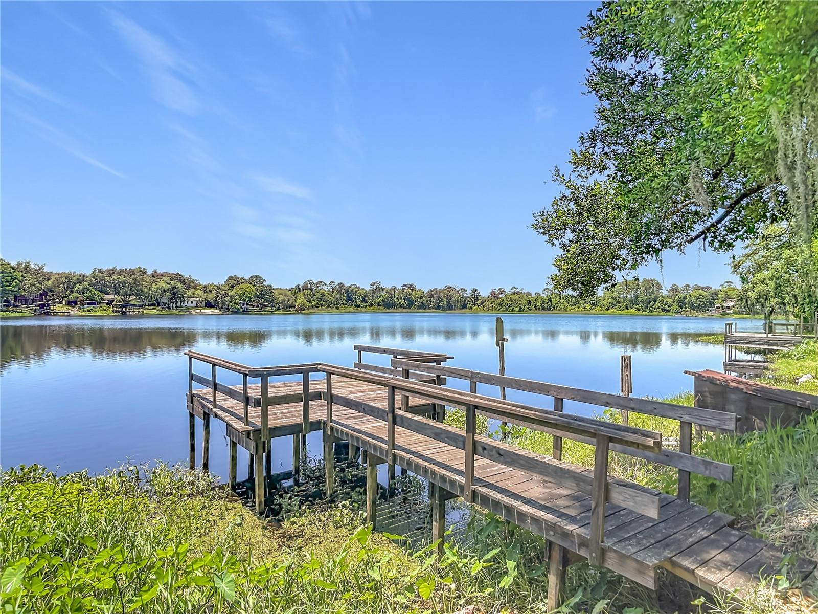 43809 SUNSET DR, PAISLEY, FL, 32767