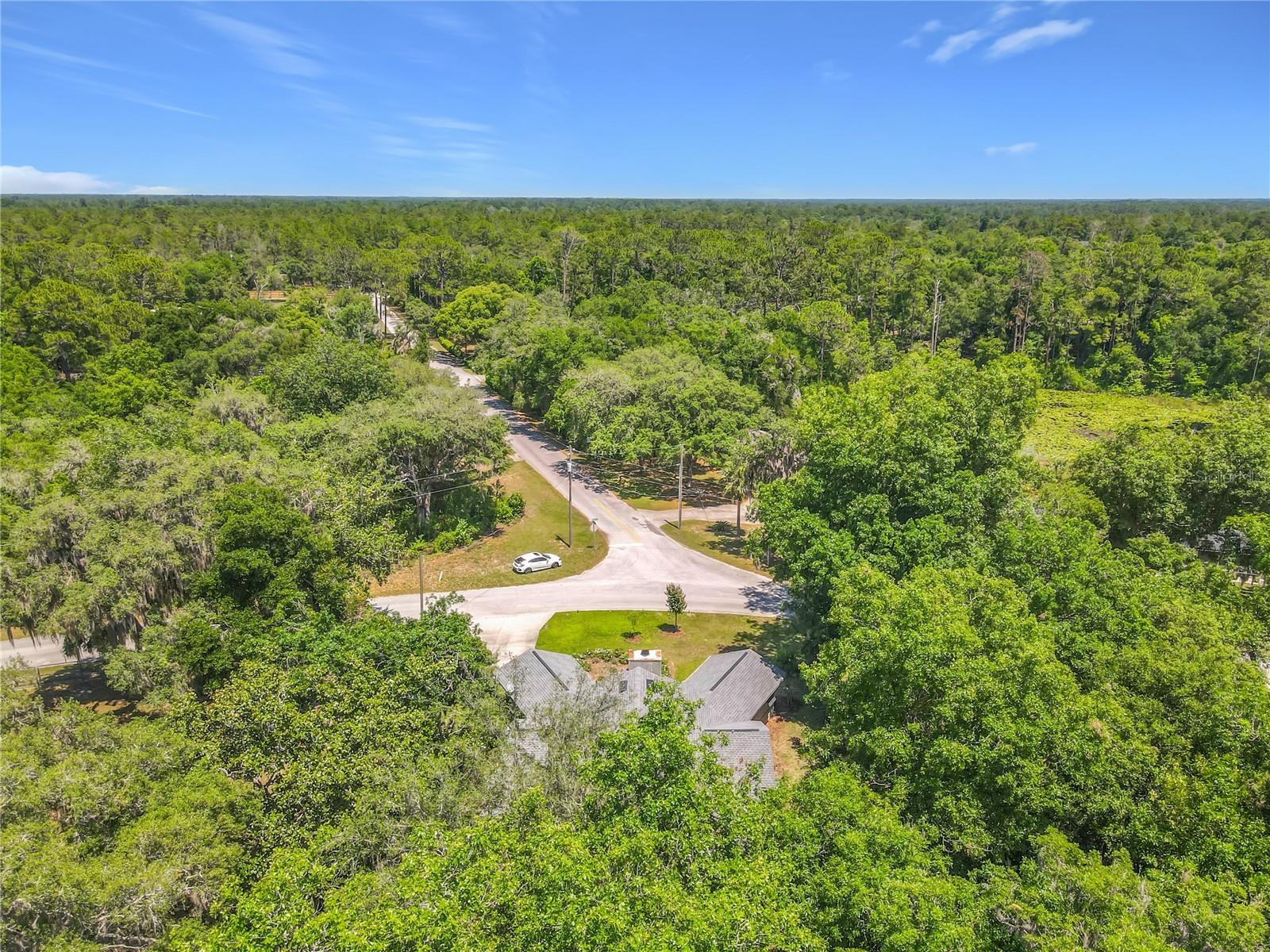 43809 SUNSET DR, PAISLEY, FL, 32767