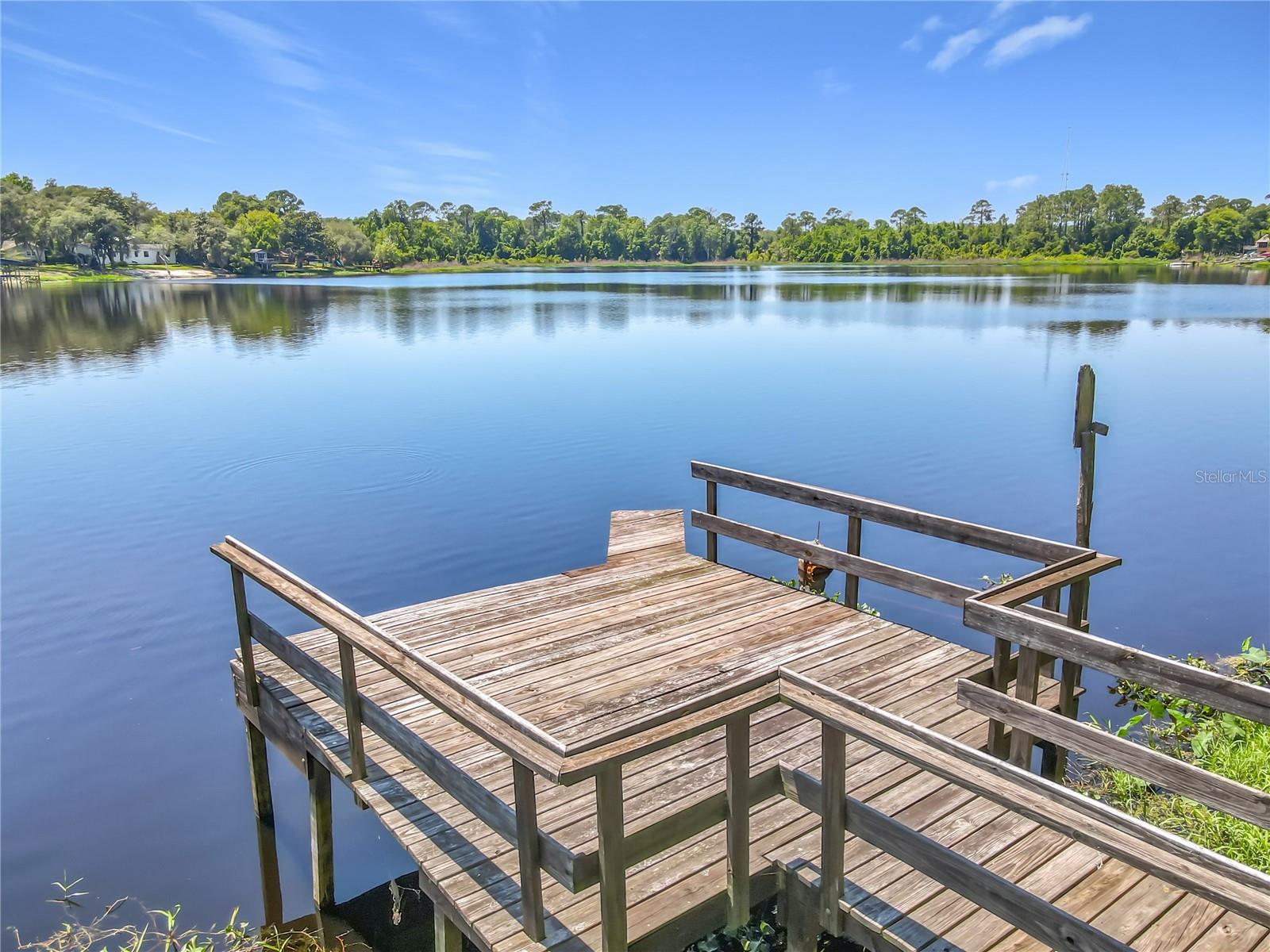 43809 SUNSET DR, PAISLEY, FL, 32767