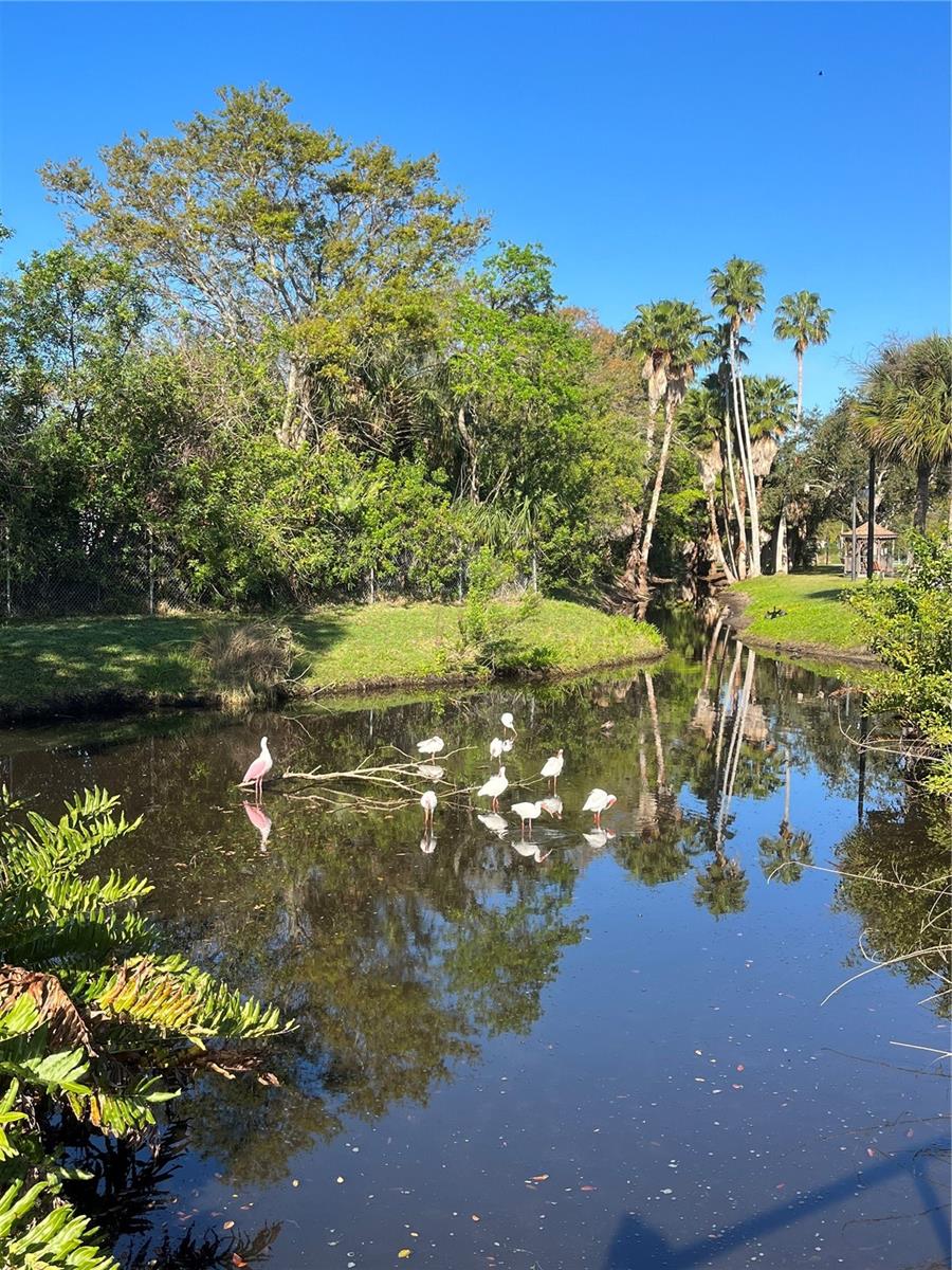 5605 SHORE BLVD S #1B, GULFPORT, FL, 33707