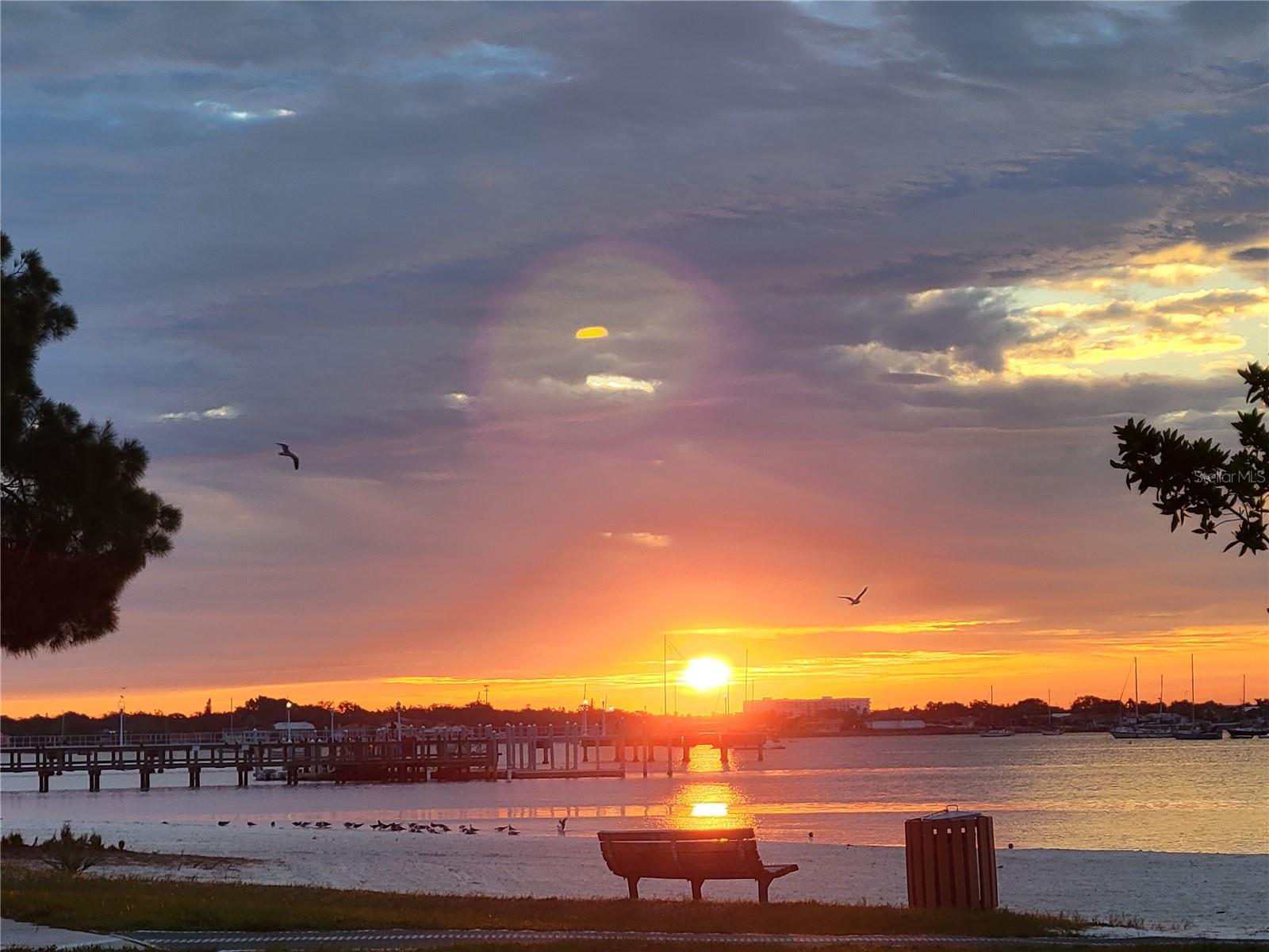 5605 SHORE BLVD S #1B, GULFPORT, FL, 33707