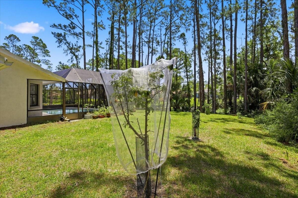 21 WATERFORD PL, PALM COAST, FL, 32164
