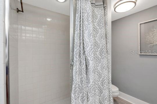 220 BELLEVIEW BLVD #203, BELLEAIR, FL, 33756