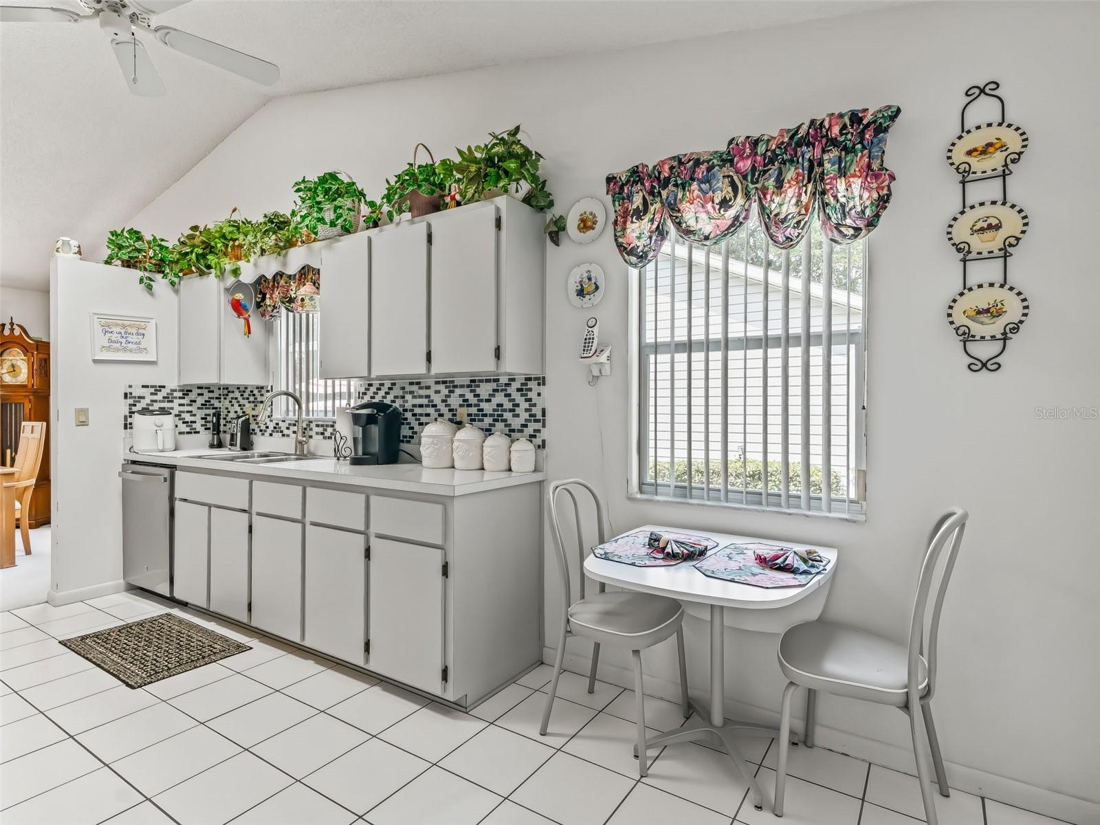 1103 BEN HOPE, LEESBURG, FL, 34788