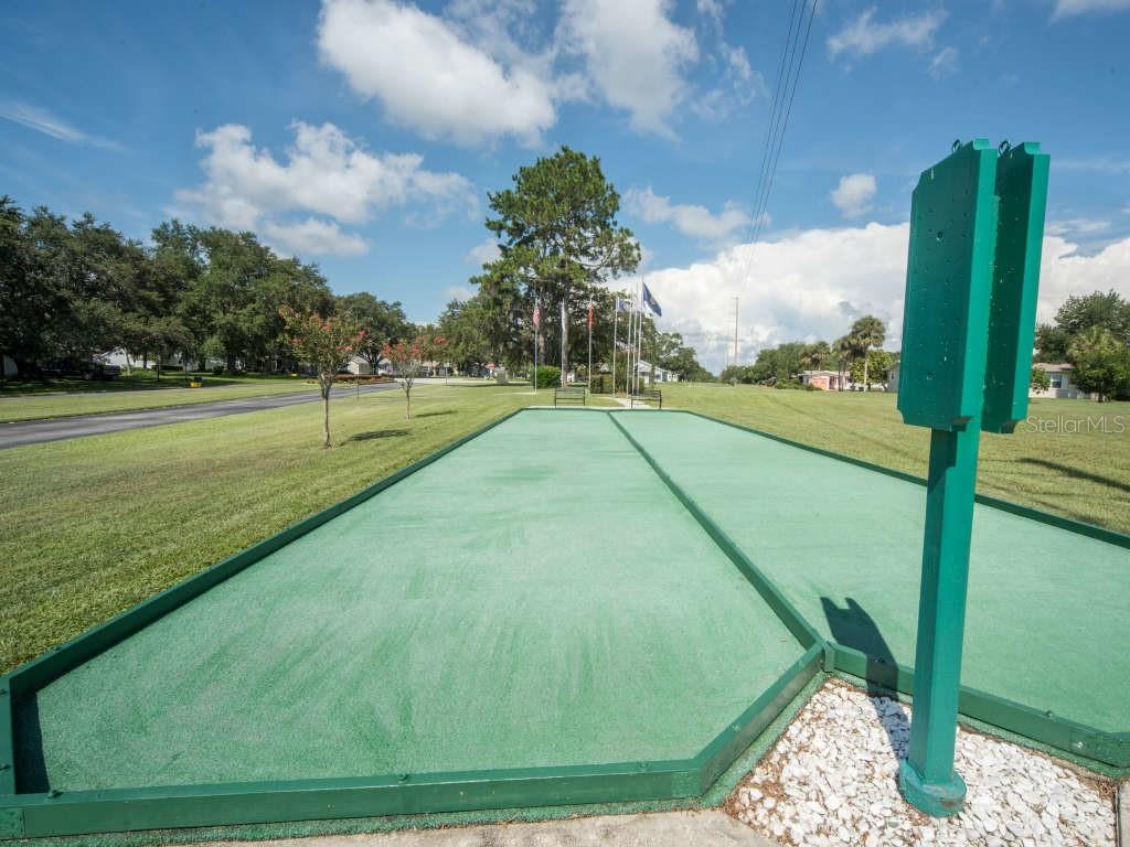 1103 BEN HOPE, LEESBURG, FL, 34788