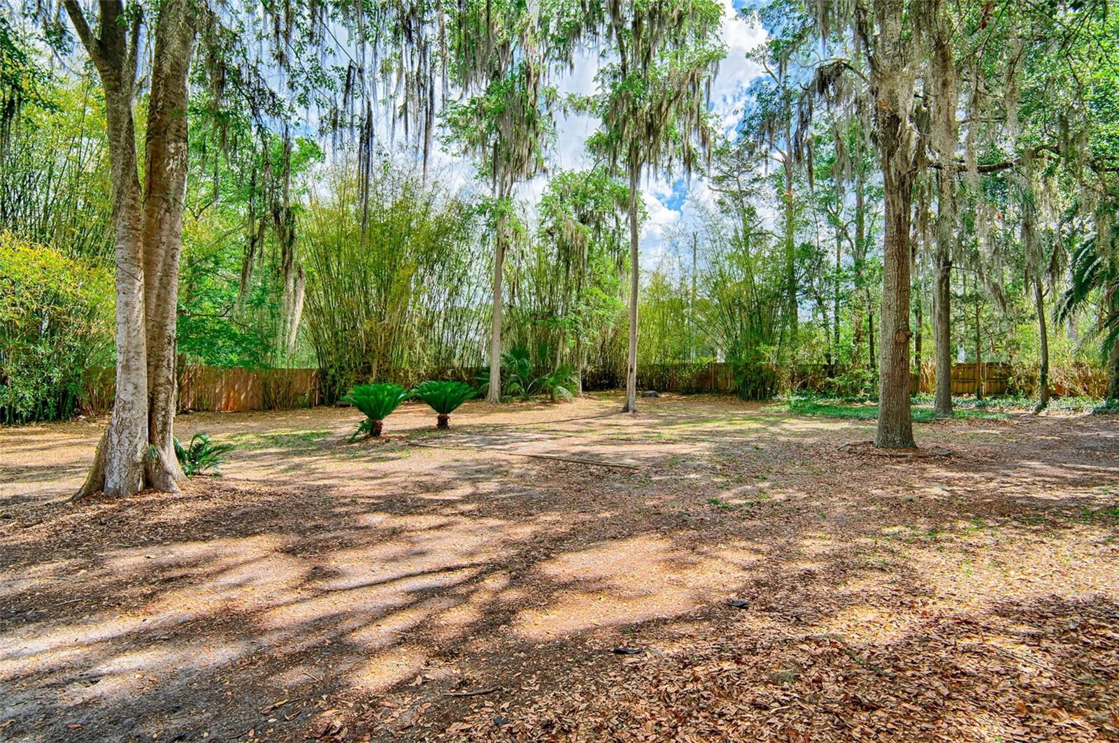12208 SW 9TH AVE, NEWBERRY, FL, 32669