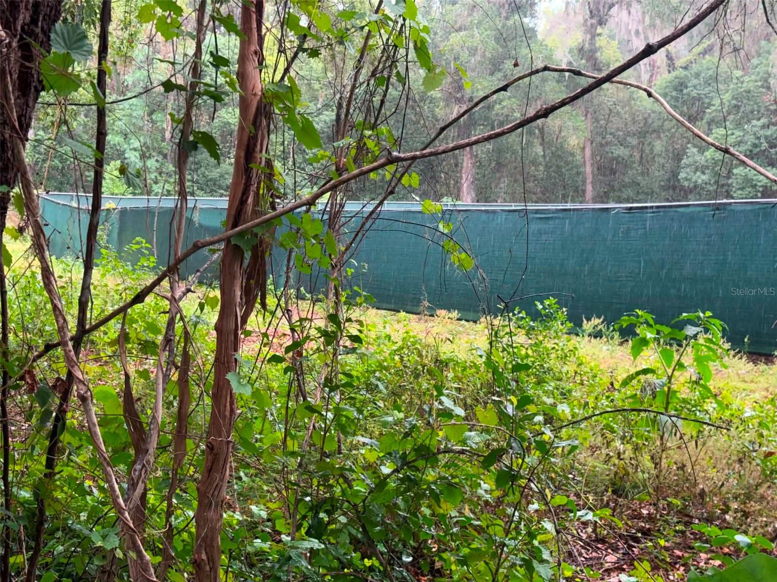6360 SE 145TH PL, SUMMERFIELD, FL, 34491