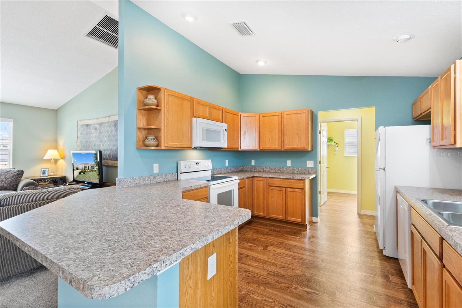 712 SHELTON ST, THE VILLAGES, FL, 32163