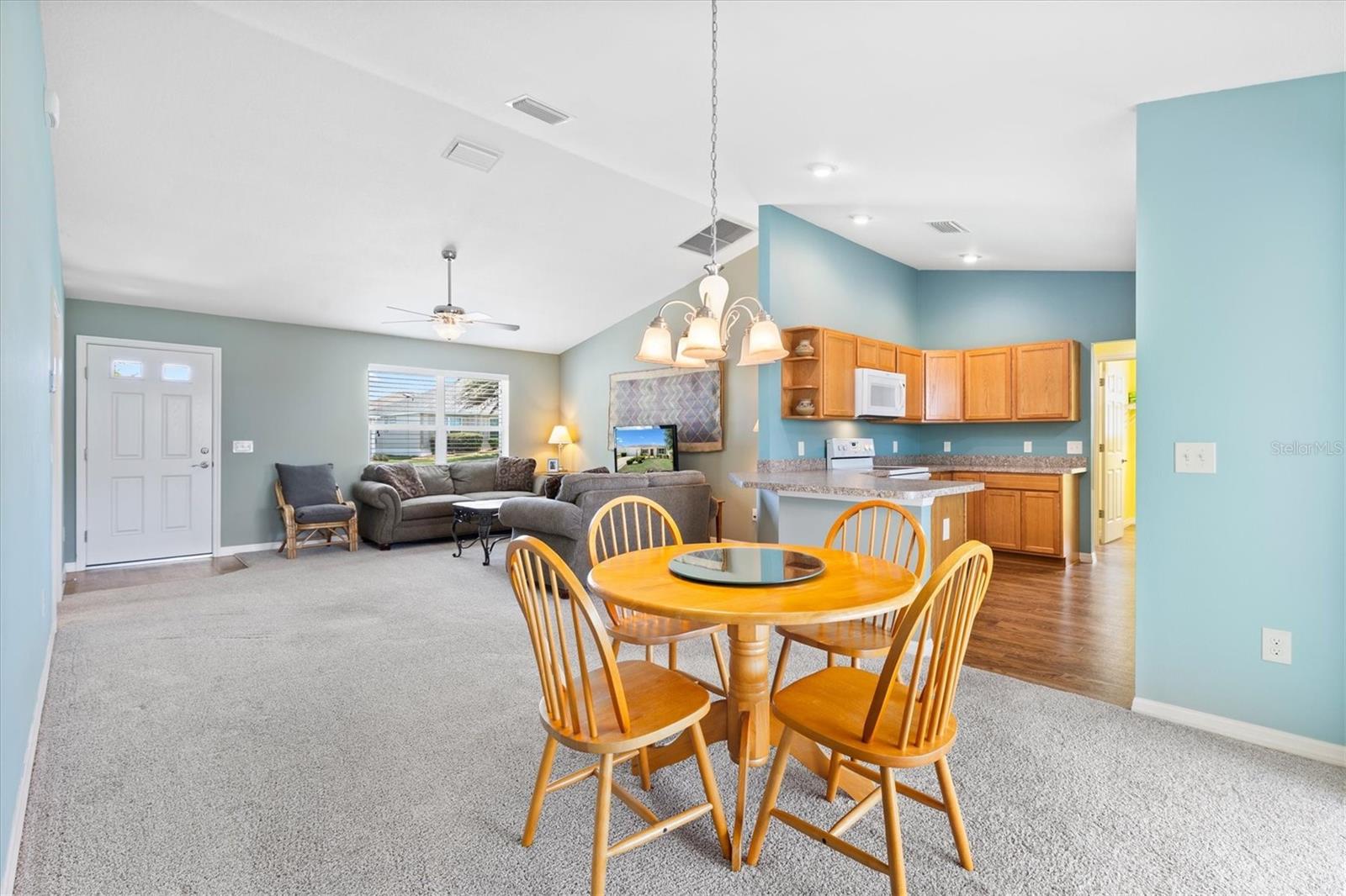 712 SHELTON ST, THE VILLAGES, FL, 32163