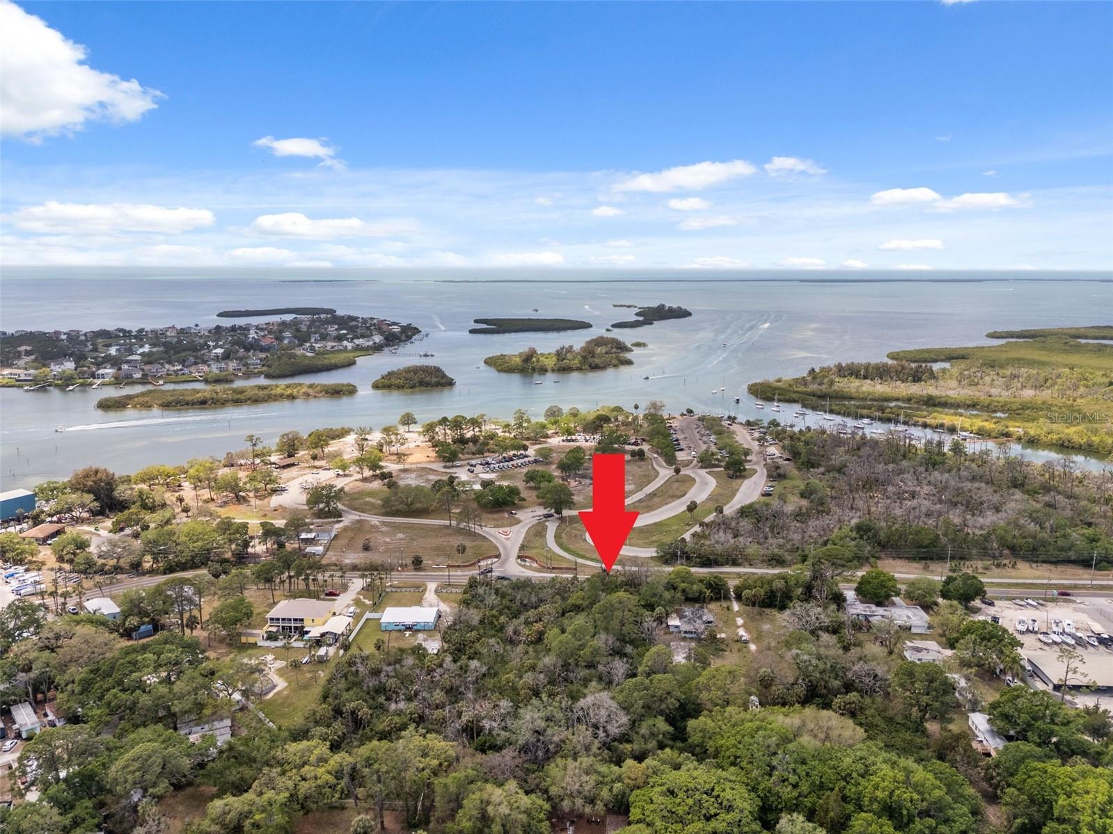 1204 BAILLIES BLUFF RD, HOLIDAY, FL, 34691