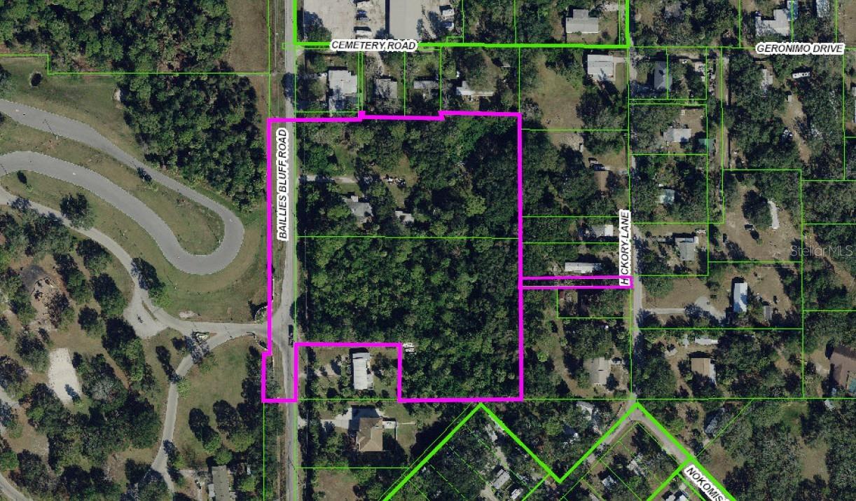 1204 BAILLIES BLUFF RD, HOLIDAY, FL, 34691
