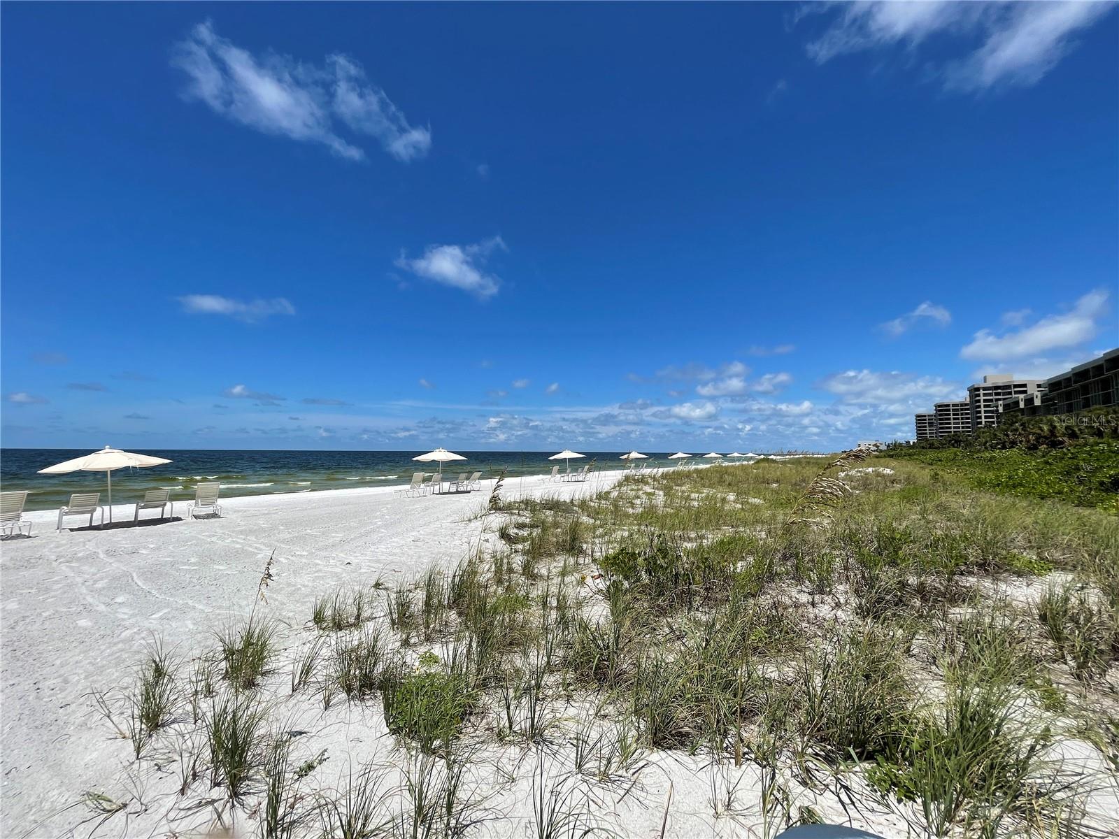 1135 GULF OF MEXICO DR #505, LONGBOAT KEY, FL, 34228