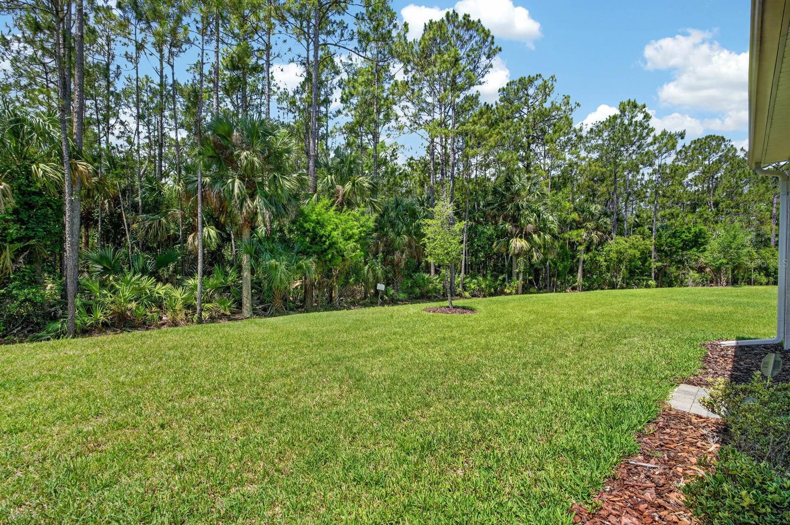 823 PINEWOOD DR, ORMOND BEACH, FL, 32174