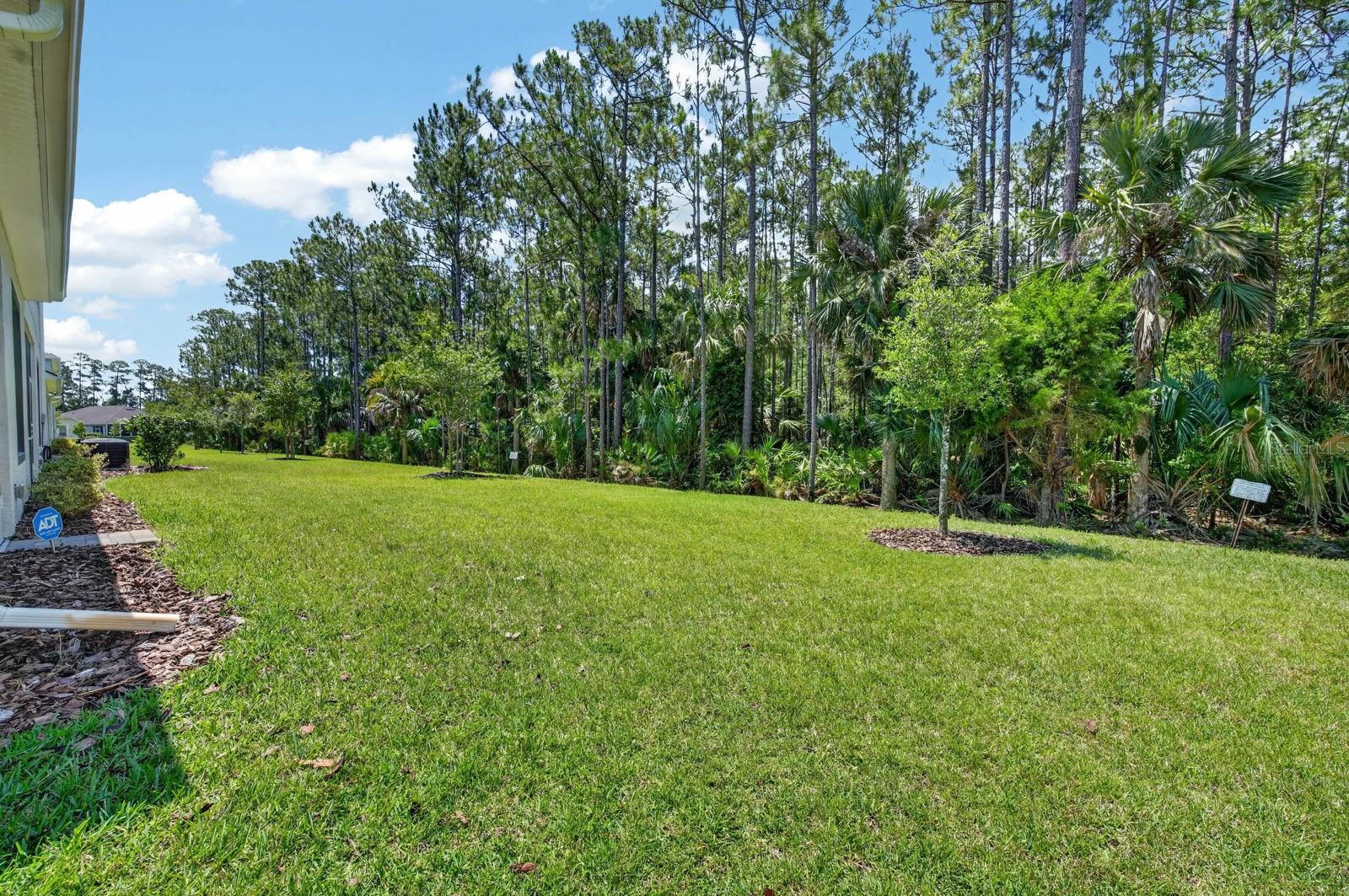 823 PINEWOOD DR, ORMOND BEACH, FL, 32174