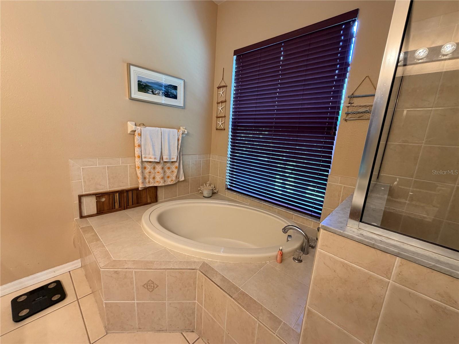 13250 MANDALAY PL, SPRING HILL, FL, 34609