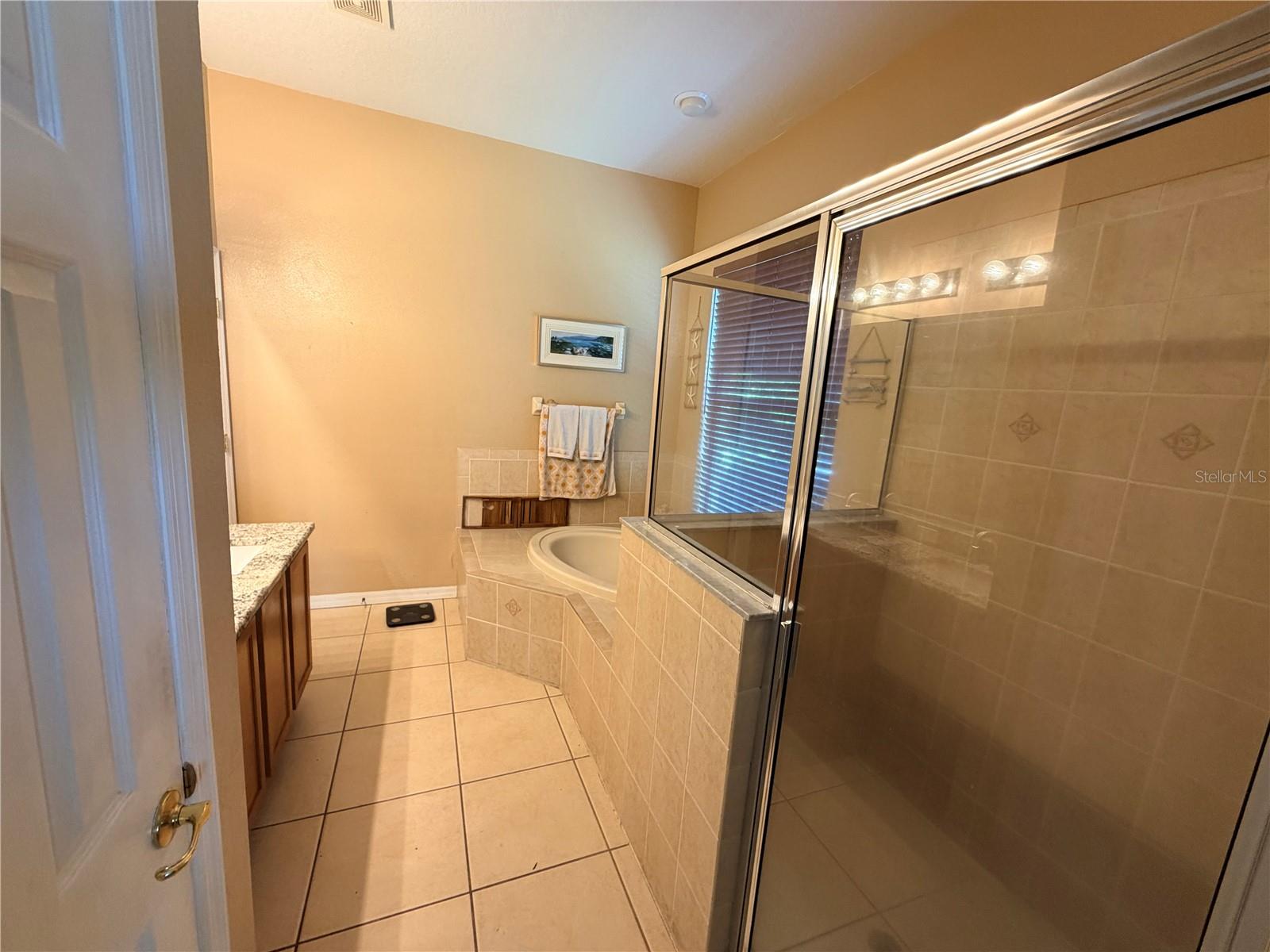 13250 MANDALAY PL, SPRING HILL, FL, 34609