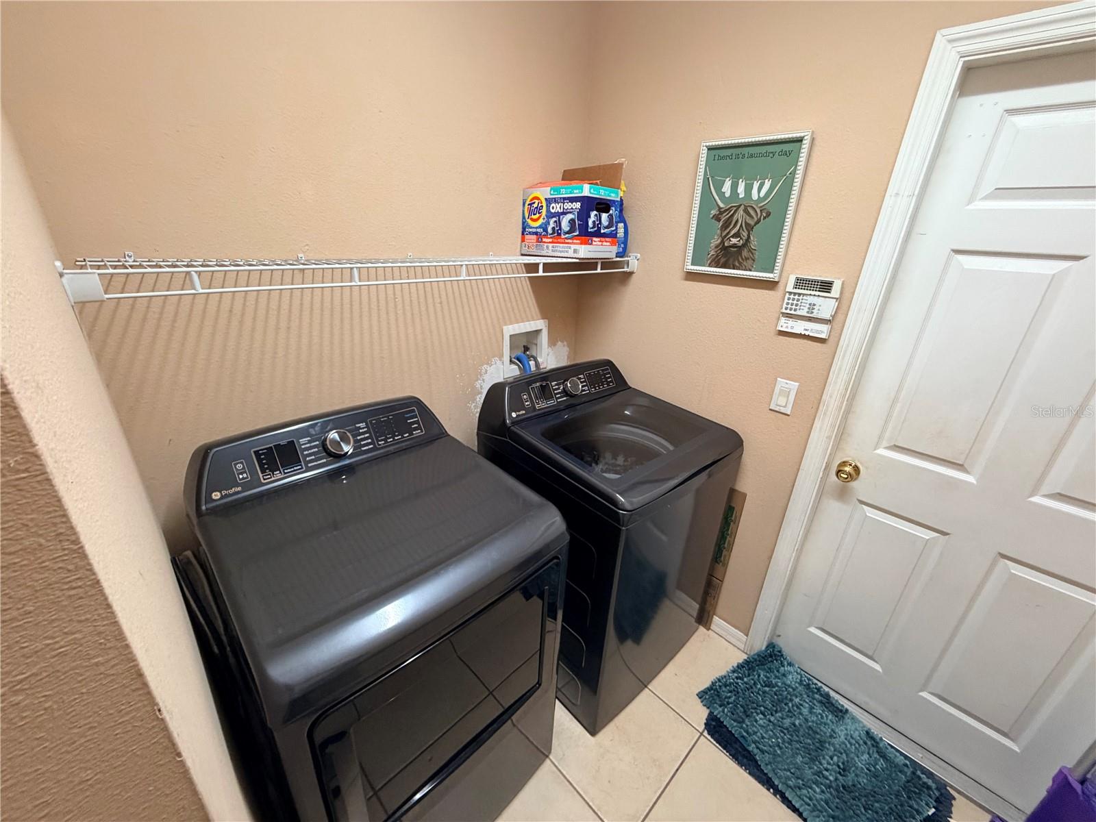 13250 MANDALAY PL, SPRING HILL, FL, 34609