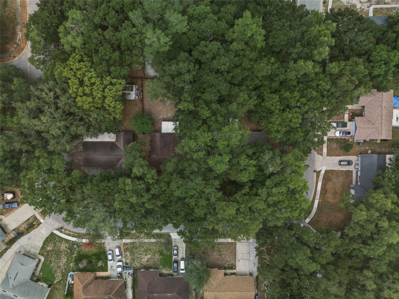 706 LAKEVIEW DR, OCOEE, FL, 34761