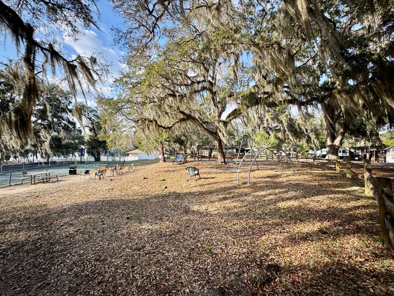 25232 NE 143RD ST #178, SALT SPRINGS, FL, 32134