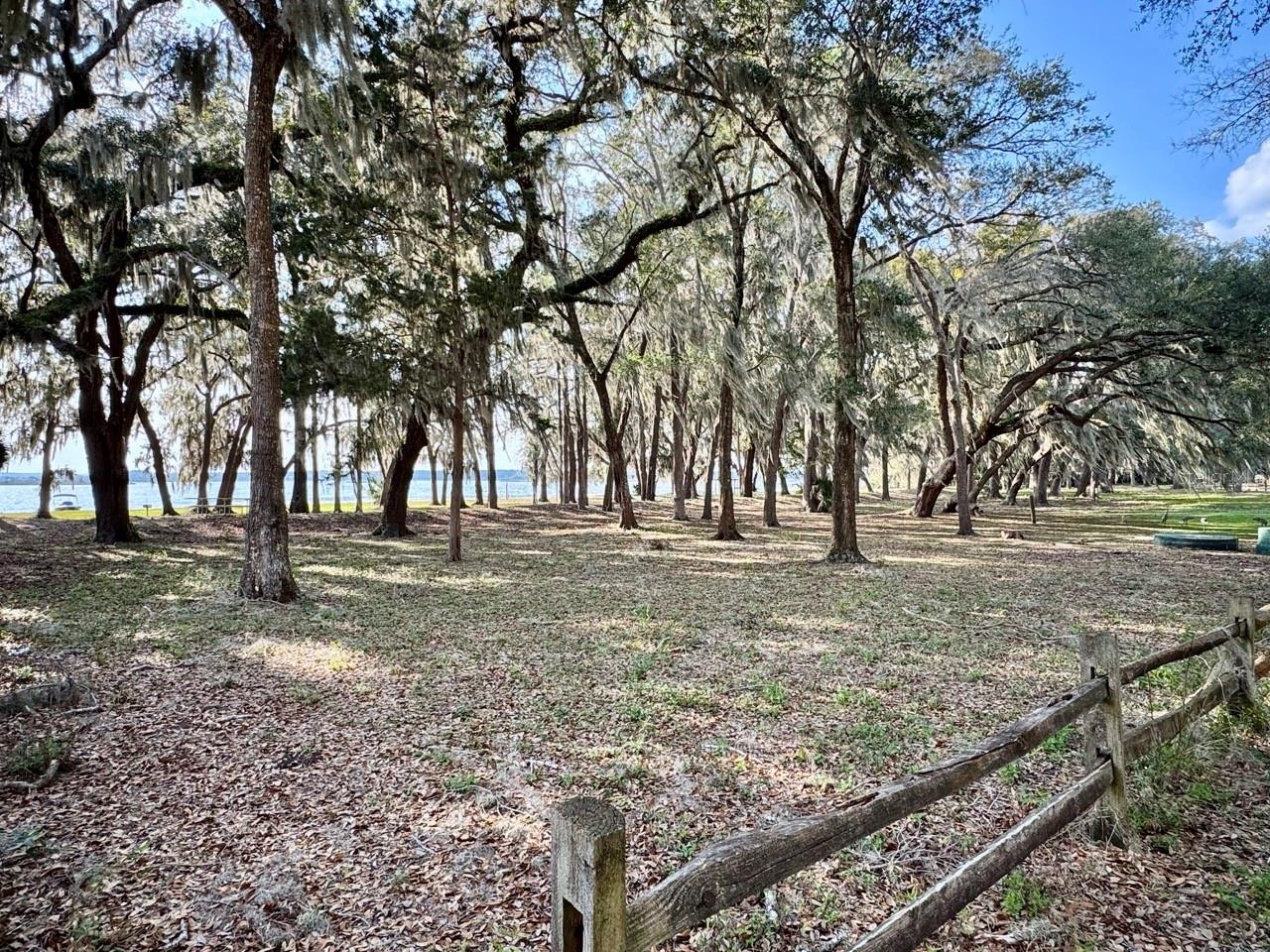 25232 NE 143RD ST #178, SALT SPRINGS, FL, 32134
