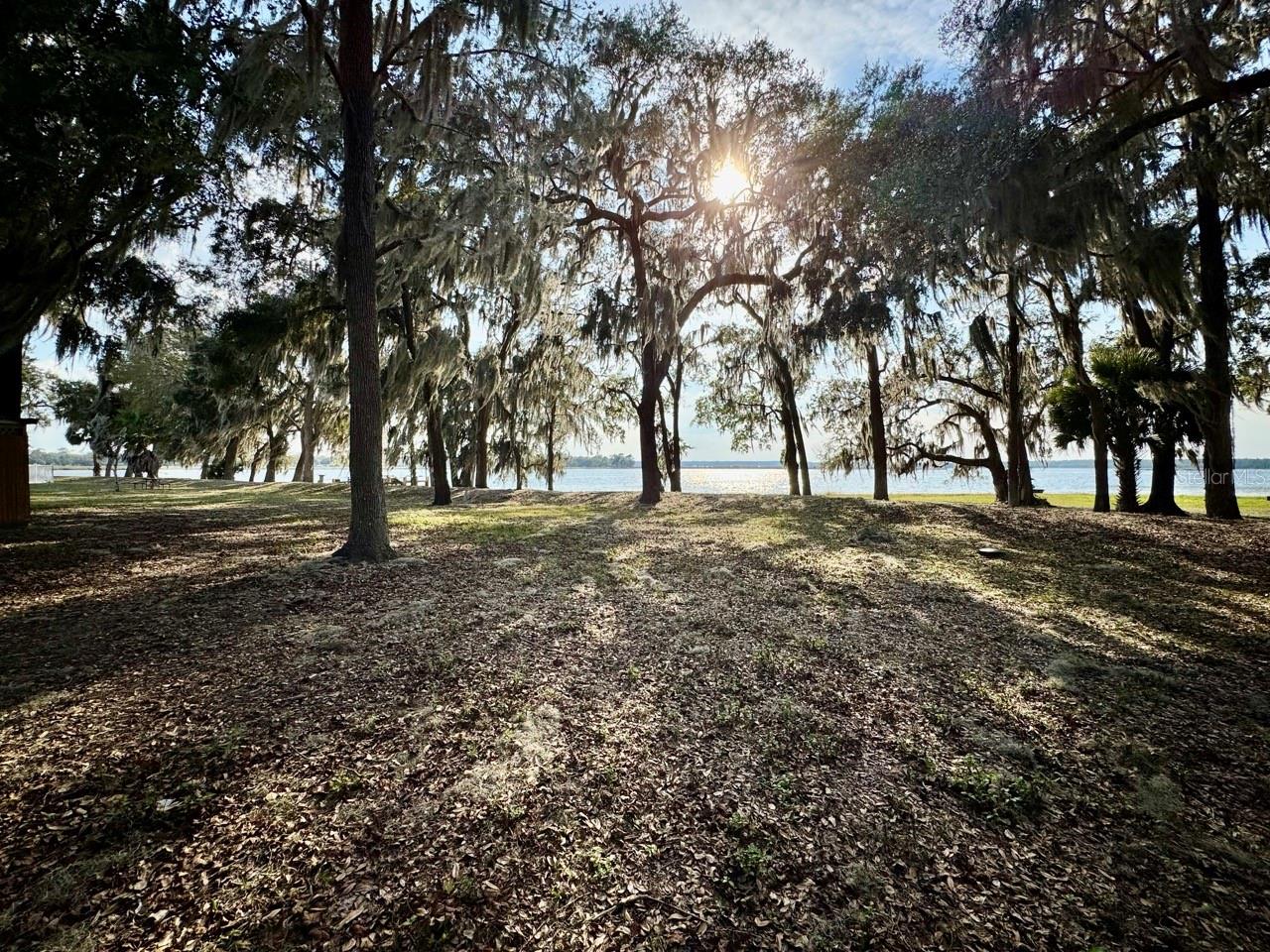 25232 NE 143RD ST #178, SALT SPRINGS, FL, 32134