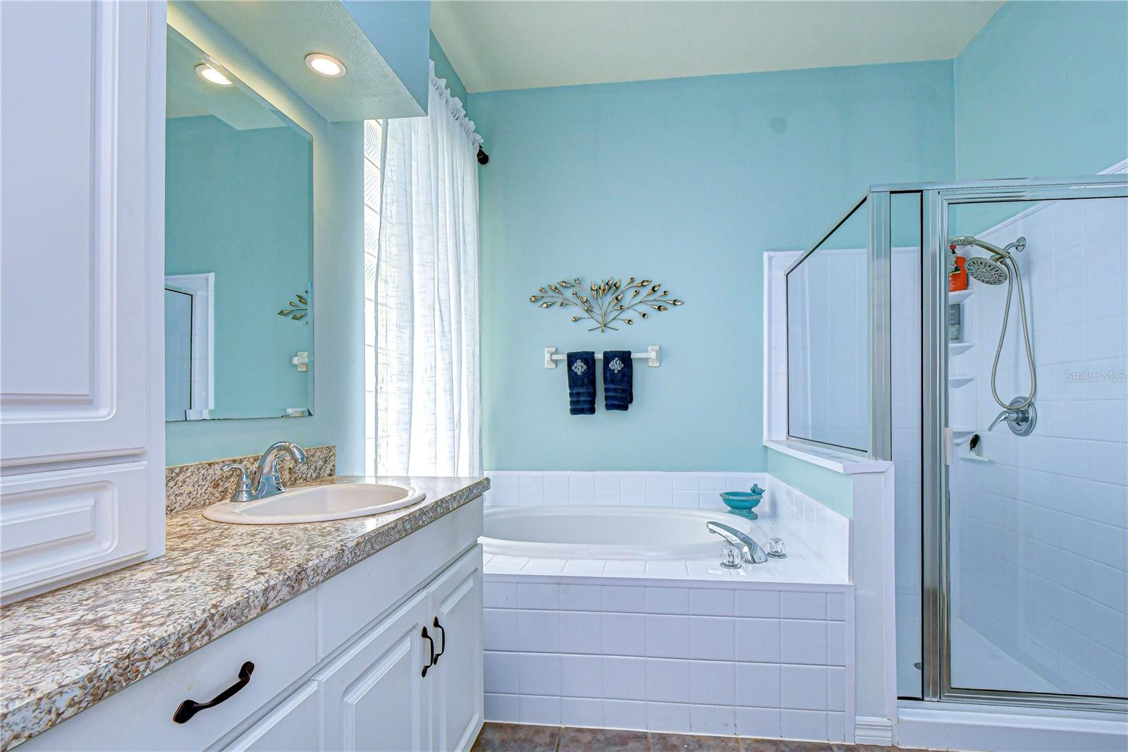 4609 COMPASS OAKS DR, VALRICO, FL, 33596