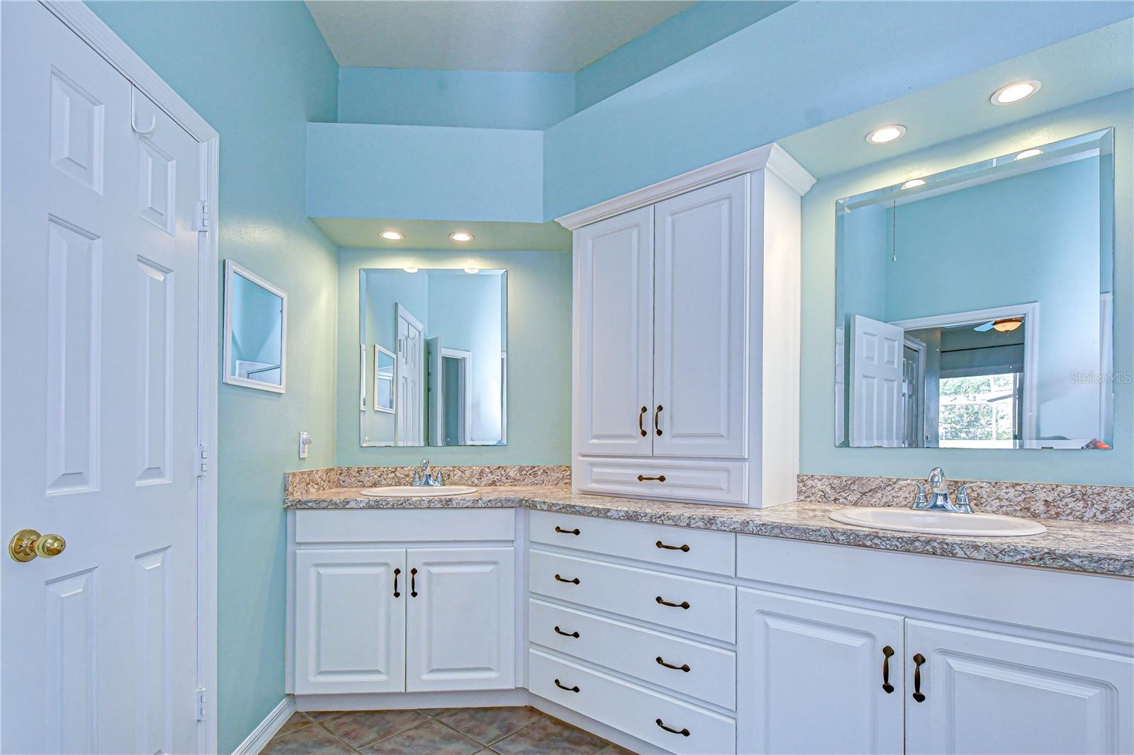 4609 COMPASS OAKS DR, VALRICO, FL, 33596
