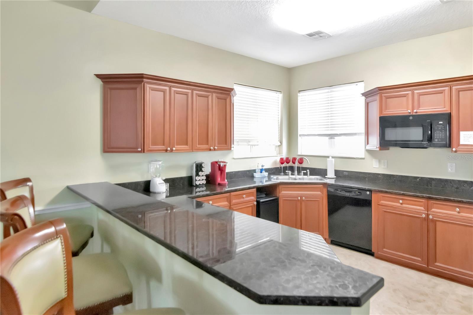 4516 SEAGULL DR #916, NEW PORT RICHEY, FL, 34652