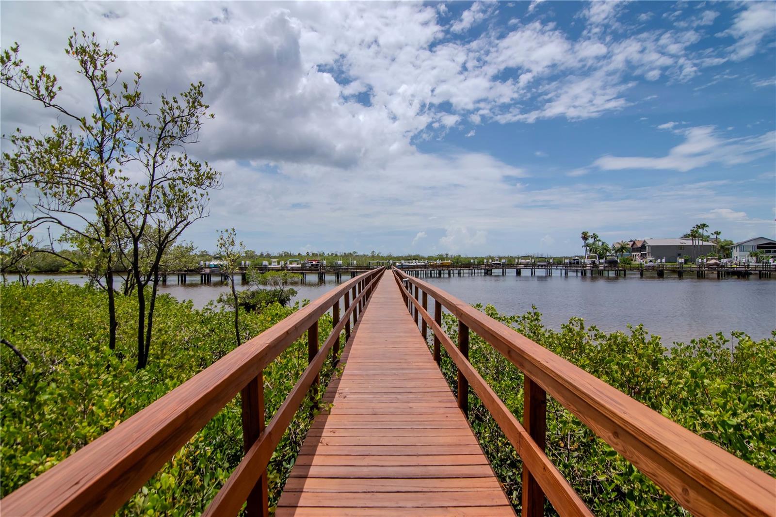 4516 SEAGULL DR #916, NEW PORT RICHEY, FL, 34652