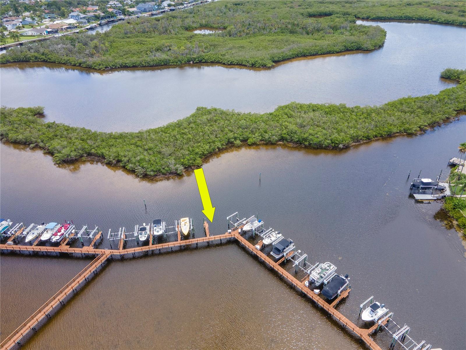 4516 SEAGULL DR #916, NEW PORT RICHEY, FL, 34652