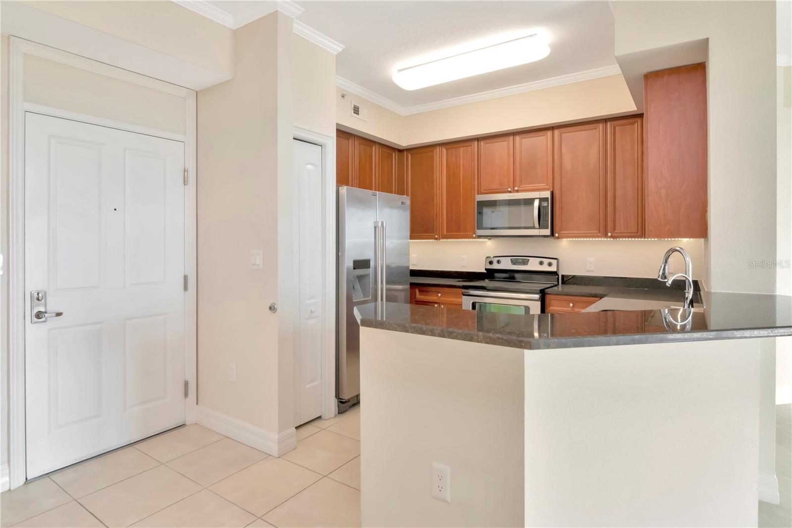 4516 SEAGULL DR #916, NEW PORT RICHEY, FL, 34652