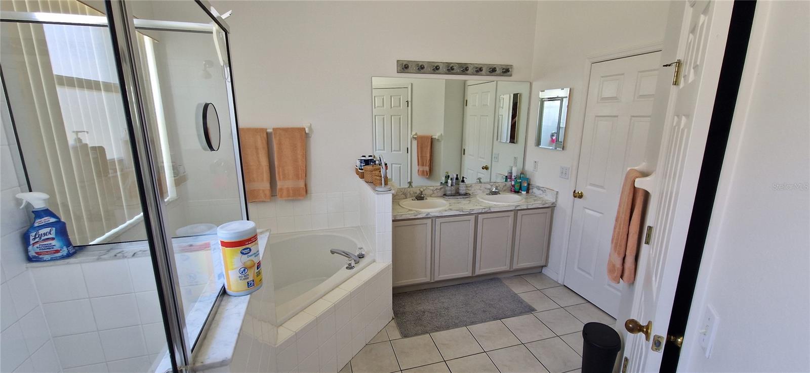 5344 CORAL VINE LN, KISSIMMEE, FL, 34758