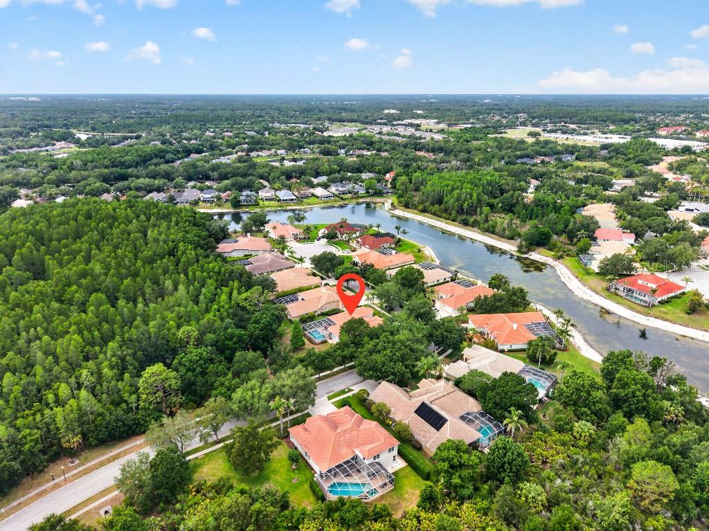 17912 ARBOR HAVEN DR, TAMPA, FL, 33647