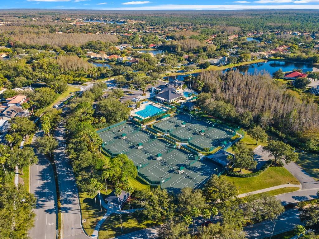 17912 ARBOR HAVEN DR, TAMPA, FL, 33647