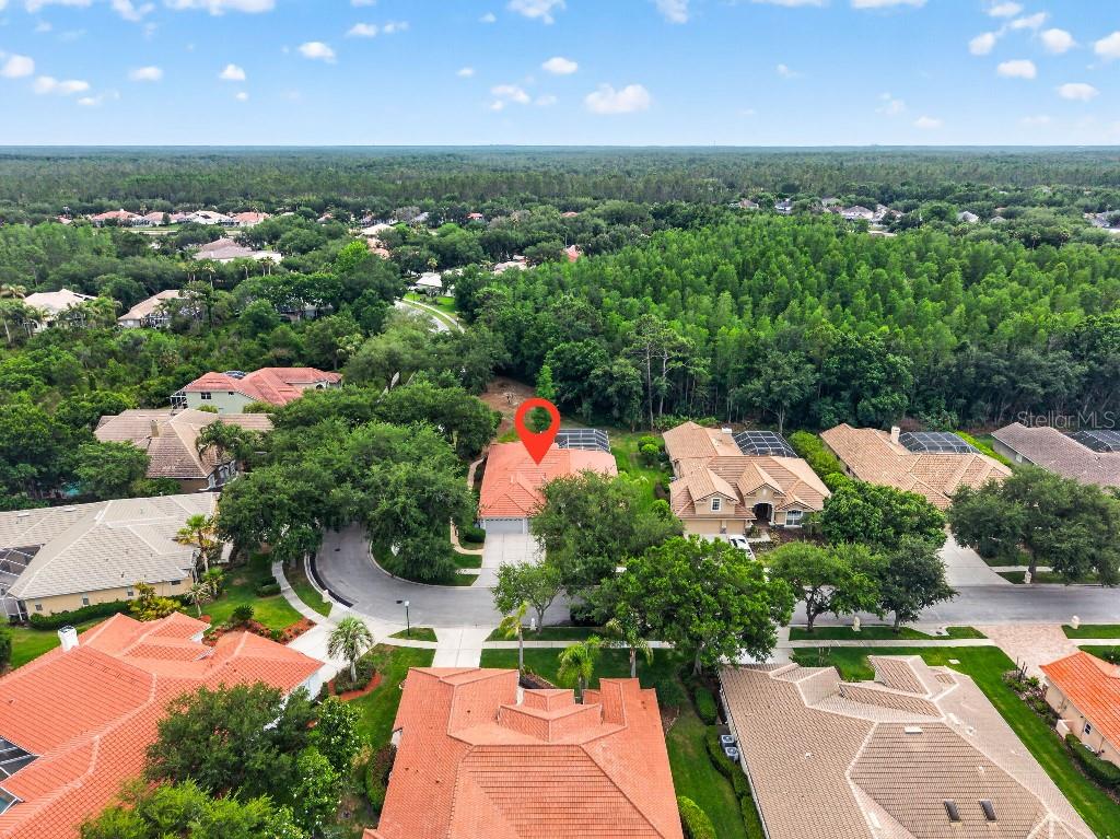 17912 ARBOR HAVEN DR, TAMPA, FL, 33647