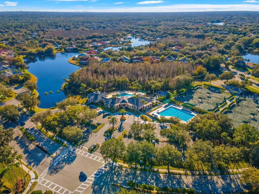 17912 ARBOR HAVEN DR, TAMPA, FL, 33647