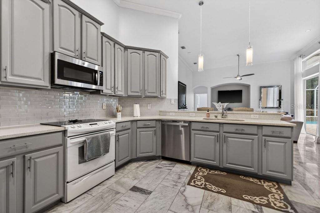 17912 ARBOR HAVEN DR, TAMPA, FL, 33647